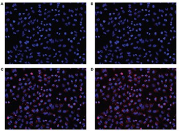 Application note Application note