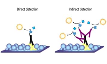 Protein methods article Protein methods article