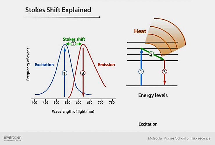 斯托克斯位移示意图 斯托克斯位移示意图