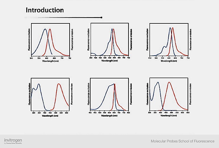 典型激发和发射光谱示例 典型激发和发射光谱示例