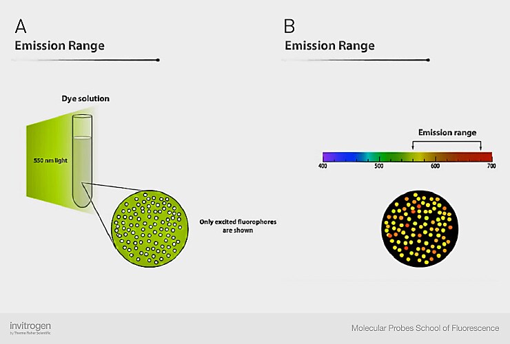 荧光染料发射范围示例 荧光染料发射范围示例