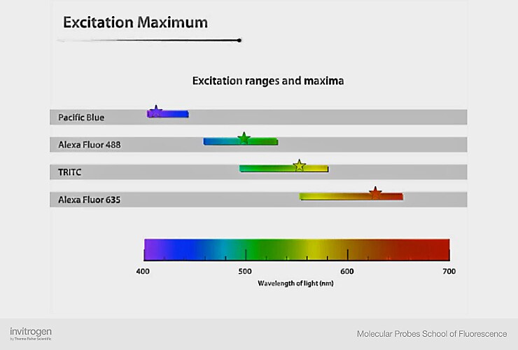 The Light Spectrum and Its Relationship With Fluorescence Thermo
