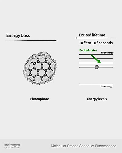 Excited state Excited state