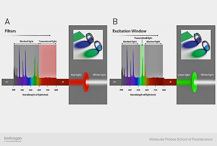 Types of excitation filters Types of excitation filters