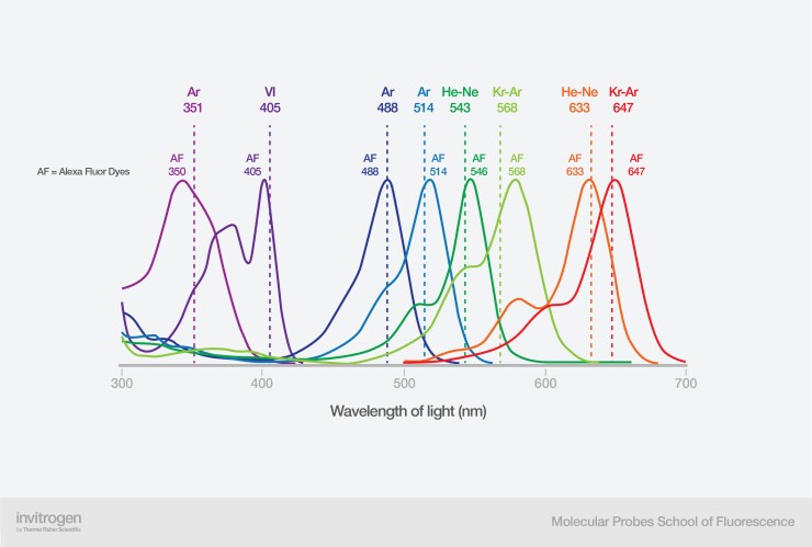 Map of common lasers used with Invitrogen Alexa Fluor dyes Map of common lasers used with Invitrogen™ Alexa Fluor™ dyes