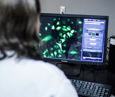 scientist sitting at a computer, analyzing stained cell images scientist sitting at a computer, analyzing stained cell images