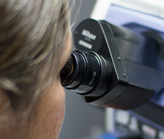 scientist looking down a microscope ocular scientist looking down a microscope ocular