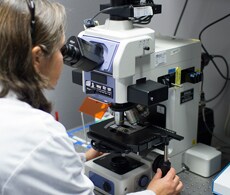 Light and resolution in epifluorescence microscopes Light and resolution in epifluorescence microscopes