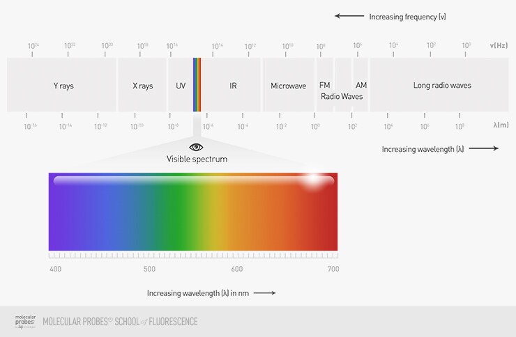 colors of visible light and how they fit into the electromagnetic spectrum colors of visible light and how they fit into the electromagnetic spectrum