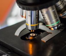 sample illumination light sample illumination light