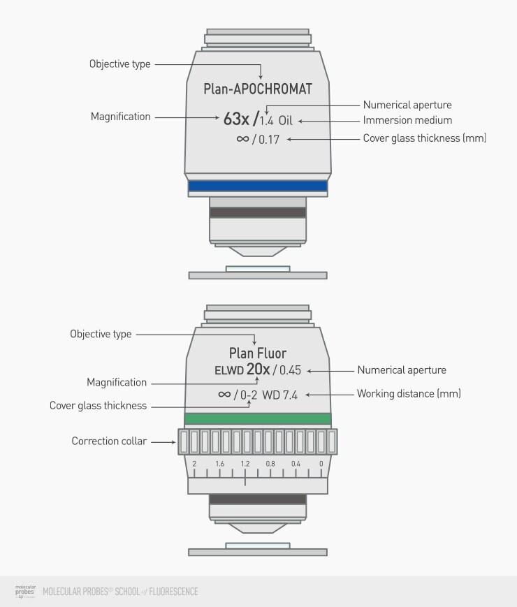 Drawing of a typical microscope objective Drawing of a typical microscope objective