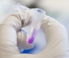 microcentrifuge tube containing pink-colored fluorescent dye microcentrifuge tube containing pink-colored fluorescent dye