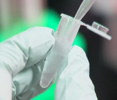 microcentrifuge tube containing colorless liquid that is being withdrawn using a pipette microcentrifuge tube containing colorless liquid that is being withdrawn using a pipette