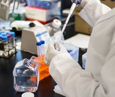 Imaging protocols Imaging protocols