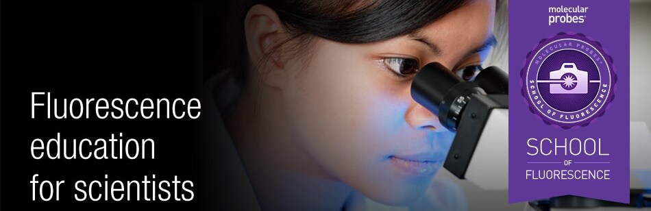 Molecular Probes School of Fluorescence Molecular Probes School of Fluorescence