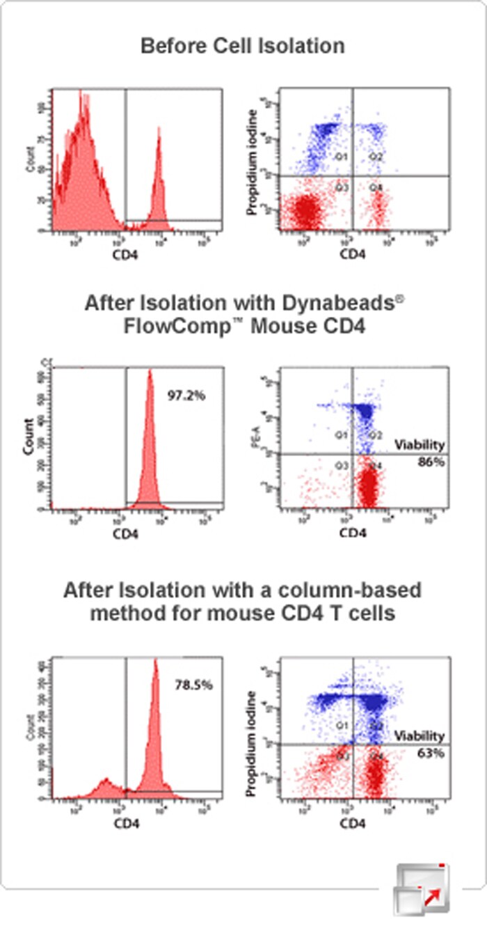 Dynabeads FlowComp CD4 and CD8 Positive Isolation Kits | Thermo Fisher ...