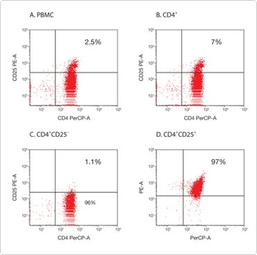 chart.par.35724.image.-1.-1.1 Process for isolating regulatory T cells with presence of CD4± CD25+