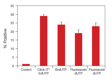 Click-iT EdUTP 柱状图显示使用Click-iT EdUTP衍生物检测到的阳性凋亡细胞比例最高
