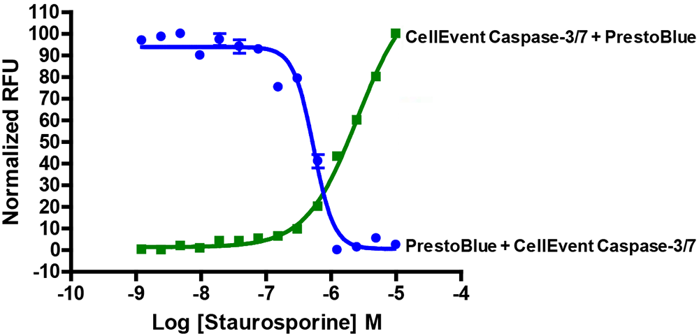 RFU归一值与星形孢菌素浓度对数的关系图 结果显示 PrestoBlue 信号减少,CellEvent Caspase-3/7 信号随着星形孢素浓度增加而增加