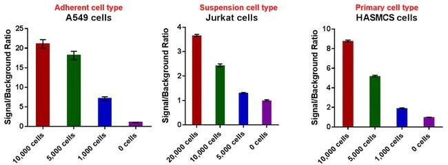 CyQUANT XTT细胞活性检测试剂盒 结果显示在各种类型中,CyQUANT XTT试剂表现出细胞数量与荧光信噪比十分相关