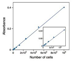 CyQUANT MTT细胞活性检测试剂盒 结果显示活细胞数量在增加,与吸光度增加相关