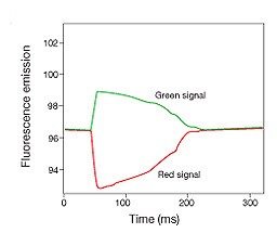 传统快响应探针 传统快响应探针