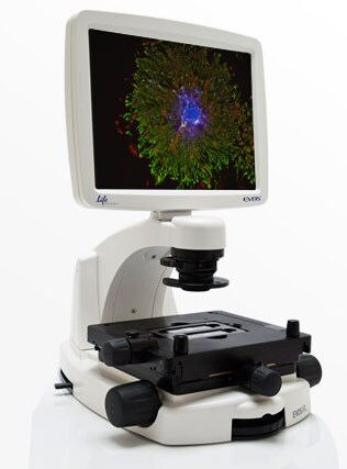 showcase.other.par.13541 showcase.other.par.13541