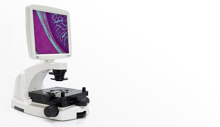 other.par.43377.image other.par.43377.image