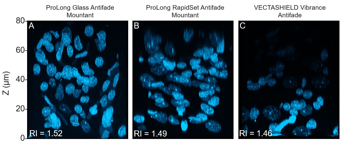 Results from refractive index study 3-panel microscope images