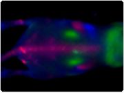 showcase.par.60208.image.0.0.1 showcase.par.60208.image.0.0.1