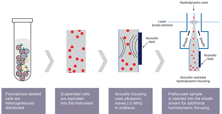 acoustic focusing principle acoustic focusing principle