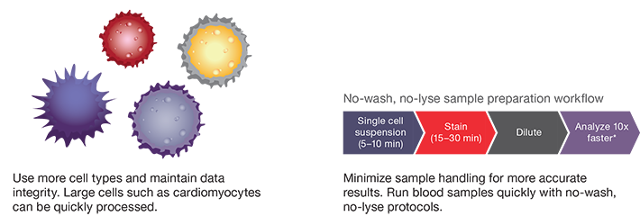 Handle more cell types with time-saving protocols Attune NxT Flow Cytometer handles cardiomyocytes and no wash, no lyse blood protocols