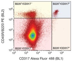Attune NxT 流式细胞仪的样本输出 Attune NxT 流式细胞仪生成的流式散点图