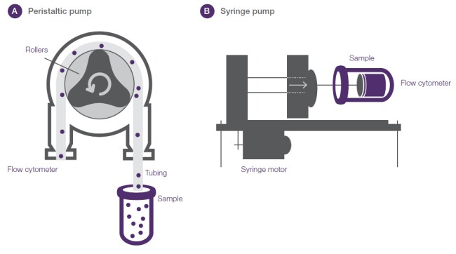 样品输送系统:蠕动泵和注射泵 样品输送系统:蠕动泵和注射泵