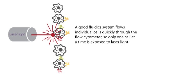 光学系统 光学系统