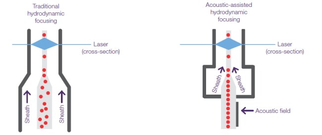 细胞聚焦系统 细胞聚焦系统