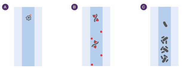 因维护不当产生的常见污染物 因维护不当产生的常见污染物
