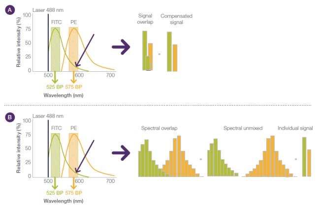 补偿技术 补偿技术