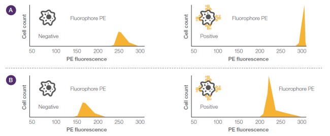 电压设置 电压设置