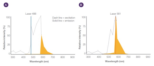 双重激发最大波长 双重激发最大波长