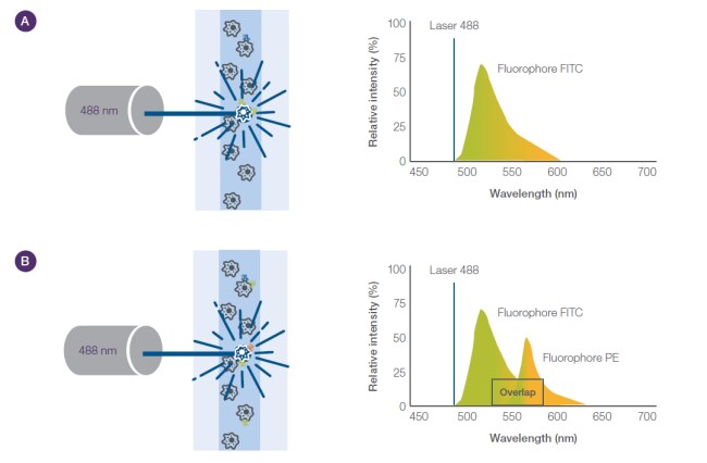荧光发射 荧光发射