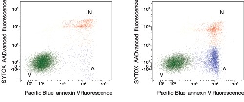 Annexin V Pacific Blue 试剂 Annexin V Pacific Blue 试剂