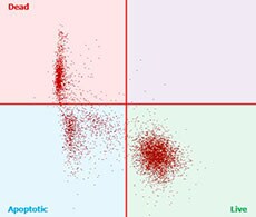流式细胞术分析含有死亡、凋亡和活细胞的样品 流式细胞术分析含有死亡、凋亡和活细胞的样品