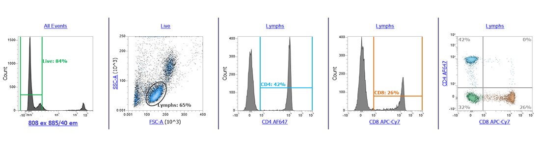 LIVE/DEAD流式细胞活性检测试剂盒-细胞活性染料-赛默飞 | Thermo Fisher Scientific - CN