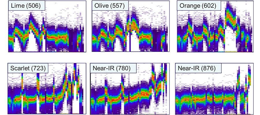 LIVE/DEAD流式细胞活性检测试剂盒-细胞活性染料-赛默飞 | Thermo Fisher Scientific - CN