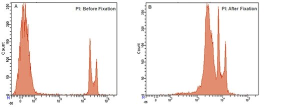 细胞固定前后碘化丙啶染色的直方图 细胞固定前后碘化丙啶染色的直方图