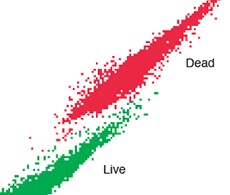 Yeast Viability and Vitality Assays for Flow Cytometry Yeast Viability and Vitality Assays for Flow Cytometry