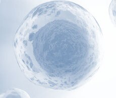 流式细胞仪免疫表型检测试剂盒 流式细胞仪免疫表型检测试剂盒