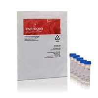 CellRox的产品图片 5个CellRox管和一包的产品图片