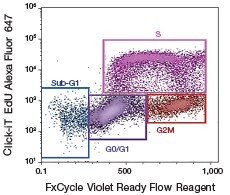 FxCycle Violet Ready Flow 试剂 FxCycle Violet Ready Flow 试剂